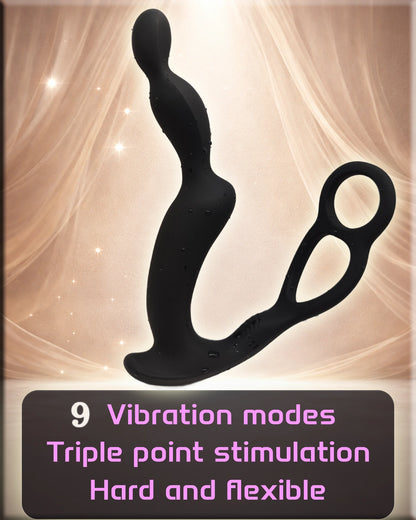 Picasso's Gift